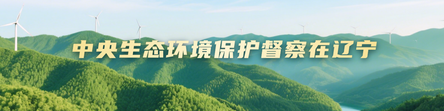 中央生态环保督查在辽宁