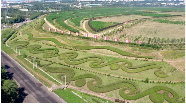 20230927090655015820.png image.png